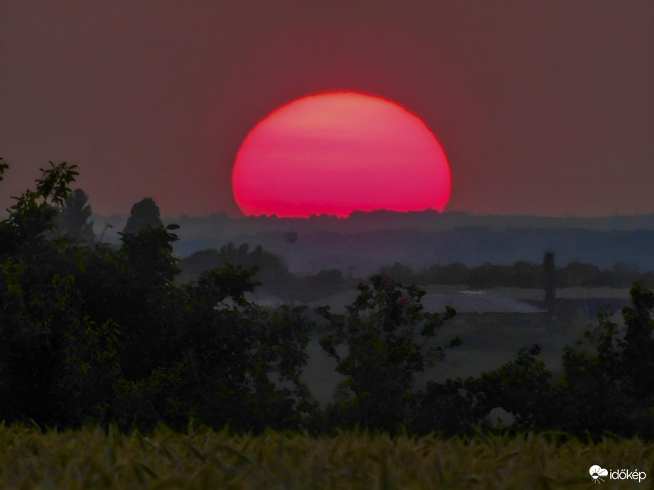 Napkorongos megnyugvás