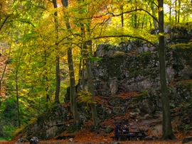 Az őszi Bakony