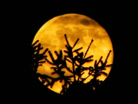 Az év első szigetközi teliholdja