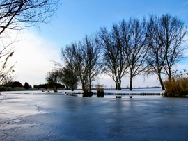 Hóba borult Szigetköz