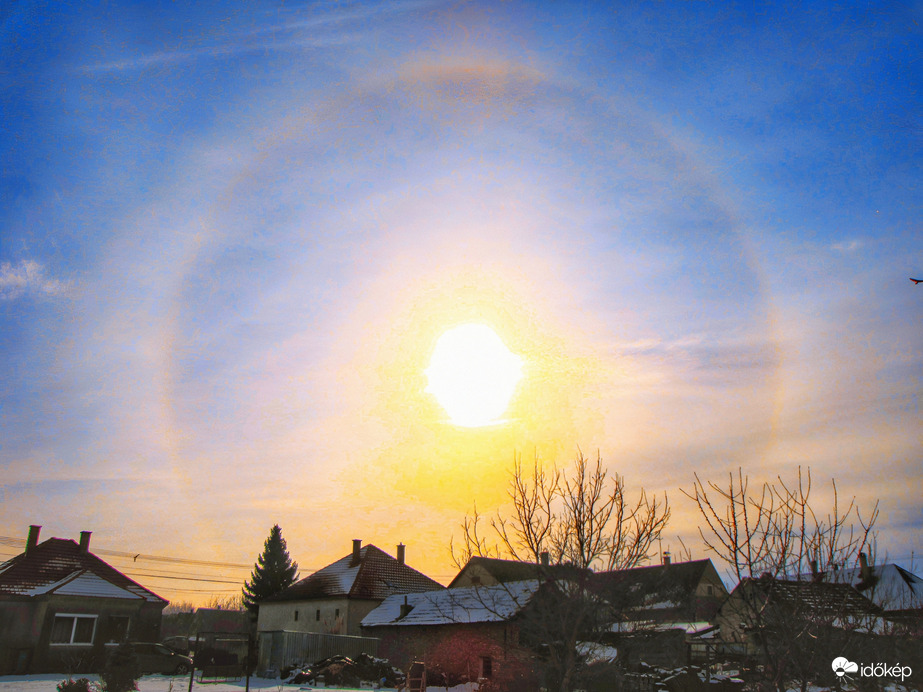 Szigetközi naphaló