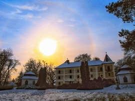 Szigetközi naphaló