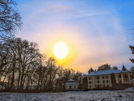 Szigetközi naphaló