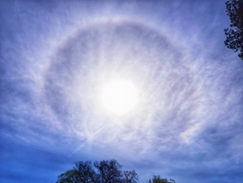 Naphaló a Szigetközben