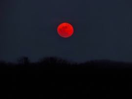 Vörösen kelt a telihold 