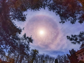 Naphaló a Szigetközben