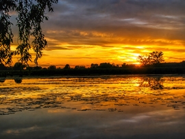 Szigetköz