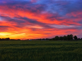 Szigetköz