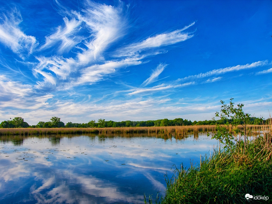 Fátyolos tükröződés