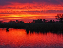 Tüzes hétzáró (Lipót)