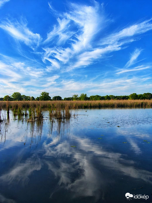 Fátyolos tükröződés