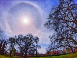 Naphaló a Szigetközben