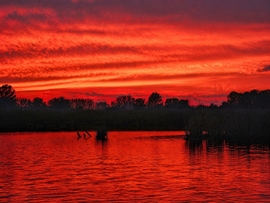 Tüzes hétzáró (Lipót)