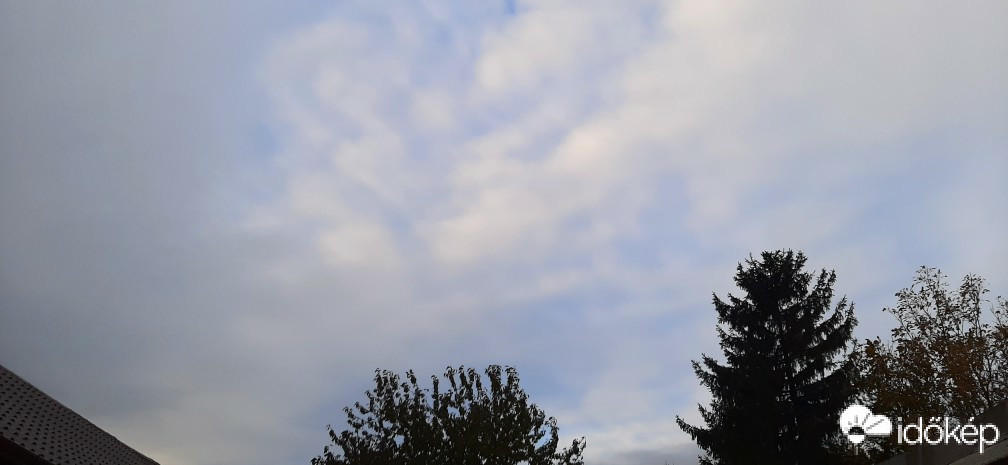 Szár