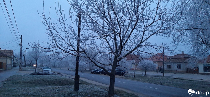 Szár
