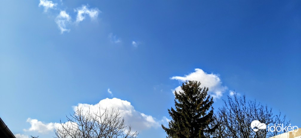 Szár