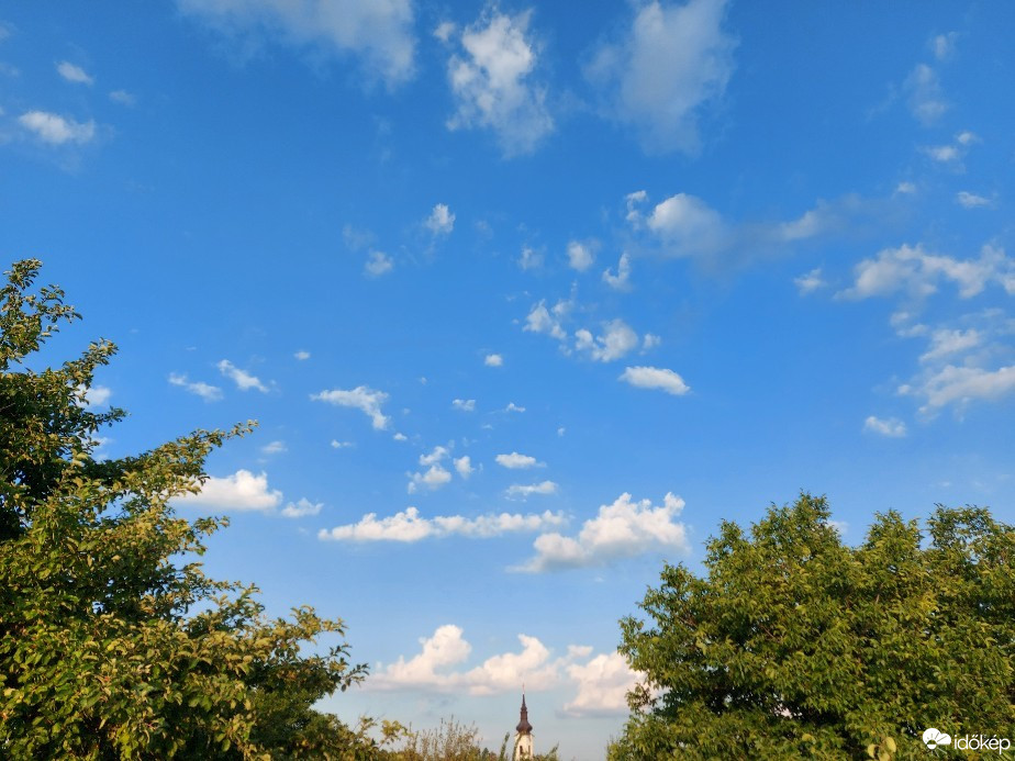 Szár