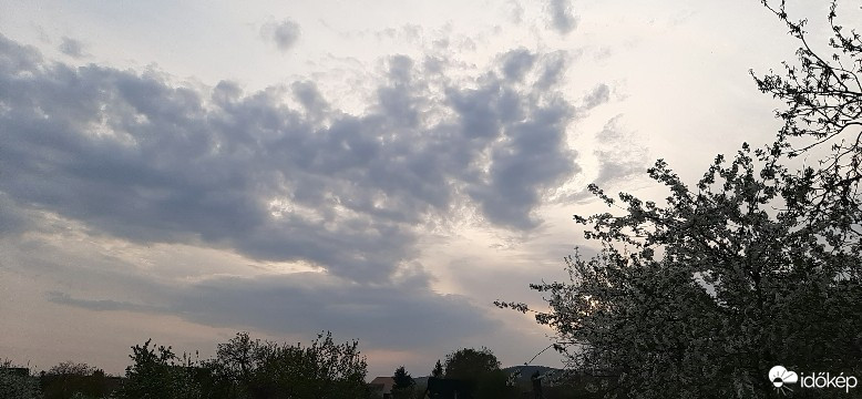Szár