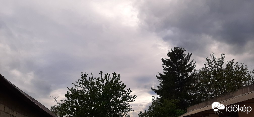Szár