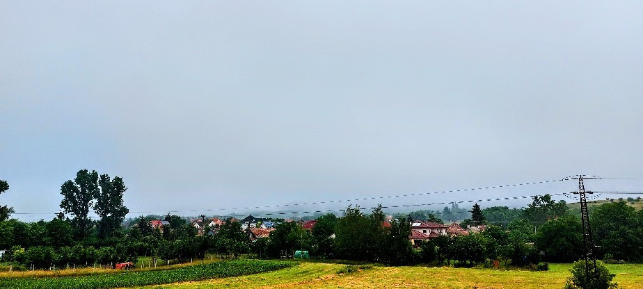 Szár