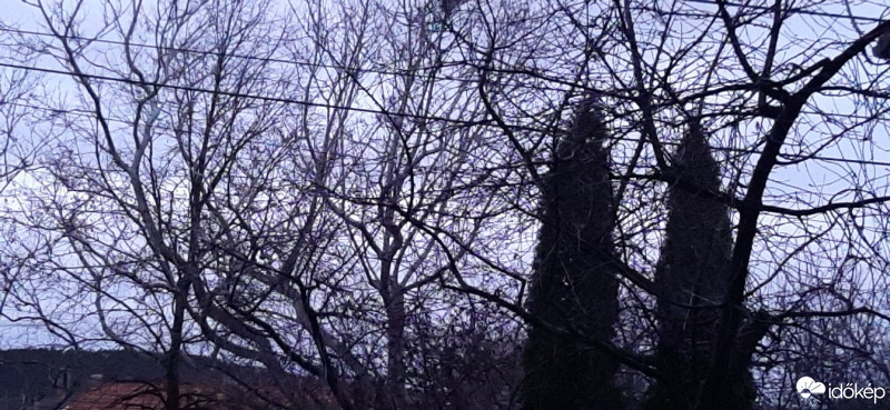 Szár