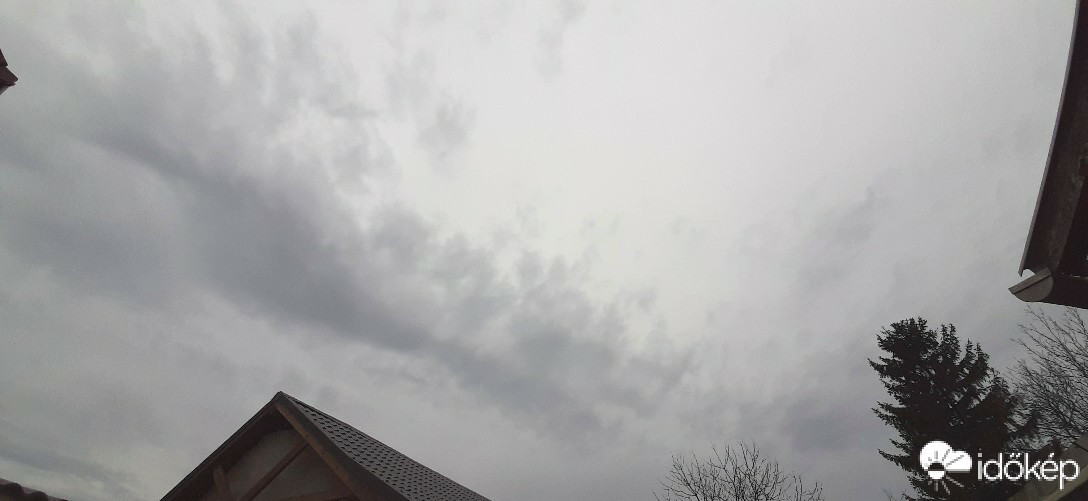 Szár
