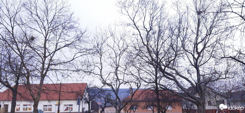 Szár