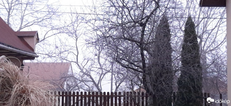 Szár