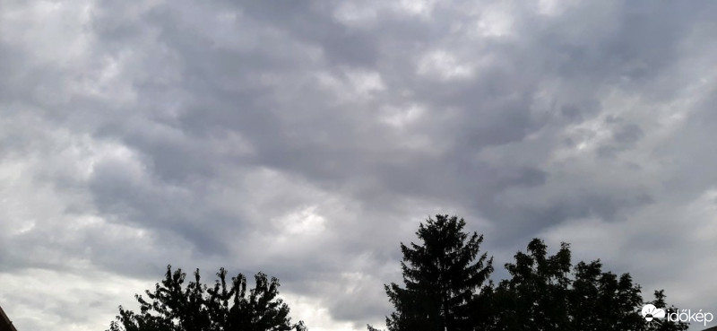 Szár
