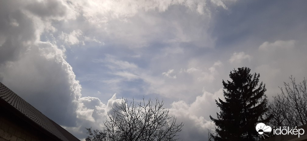 Szár