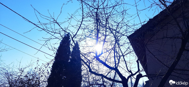 Szár