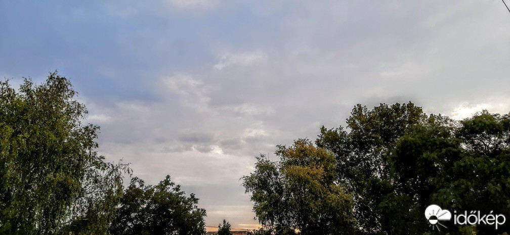 Szár