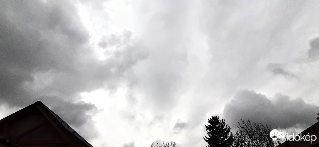 Szár