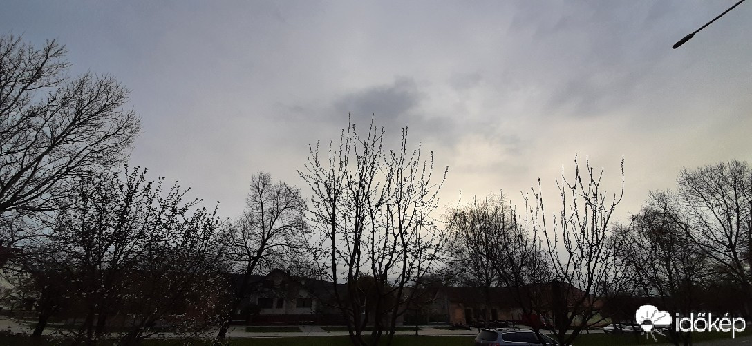 Szár