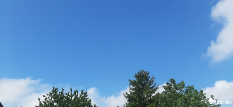 Szár