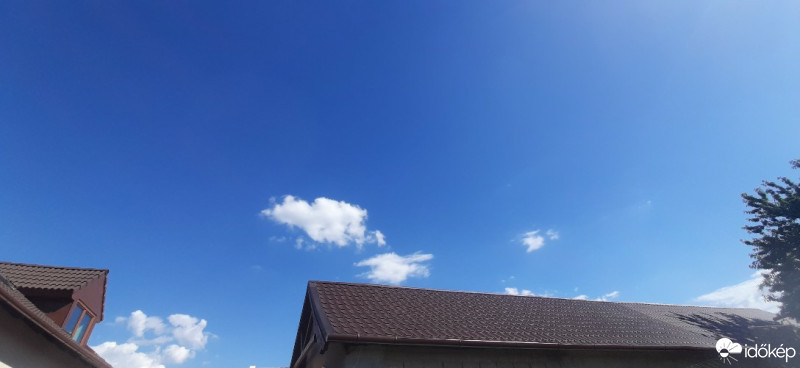 Szár