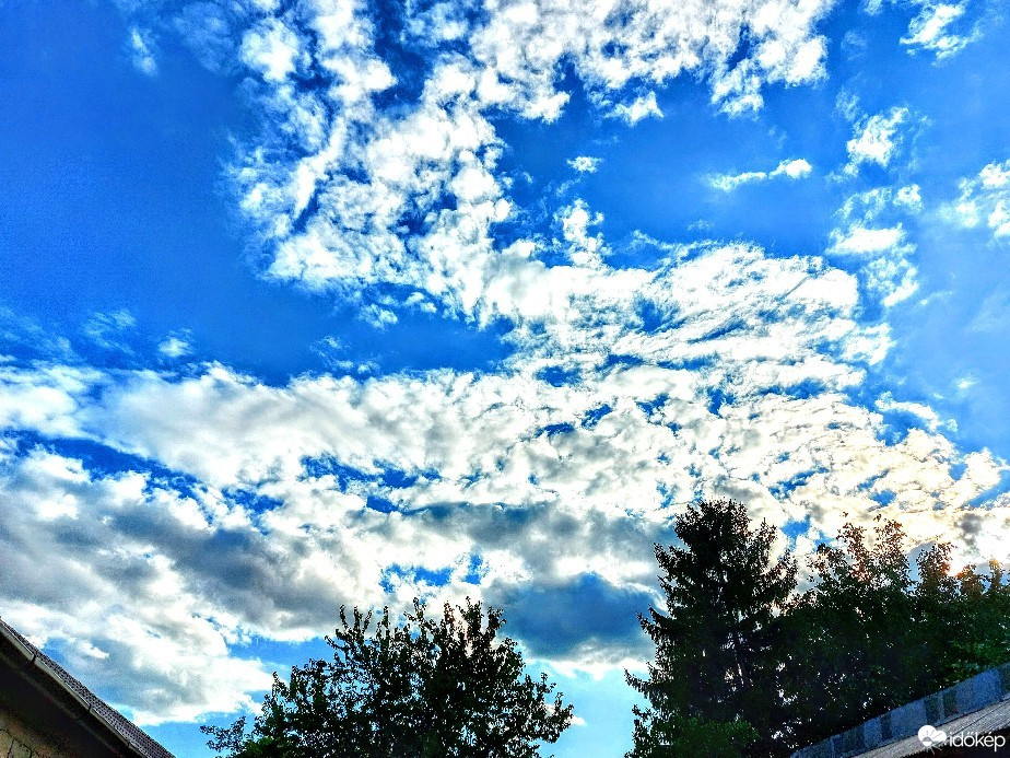 Szár