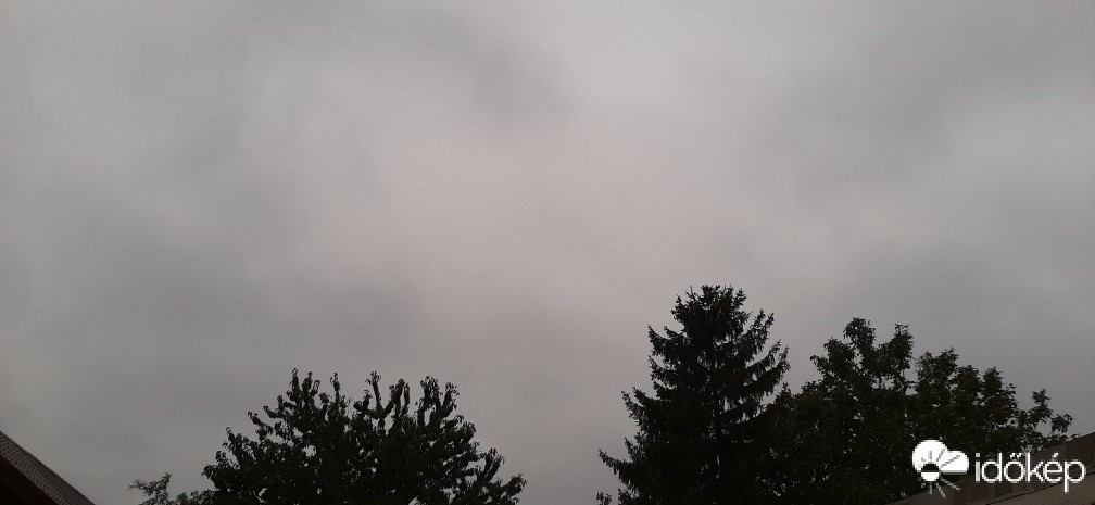 Szár