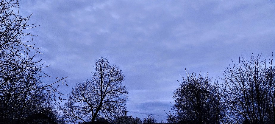 Szár