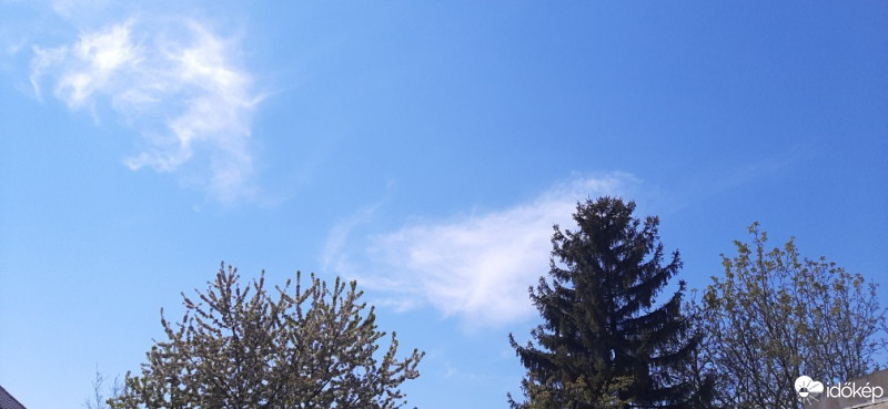 Szár