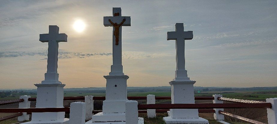 Szár