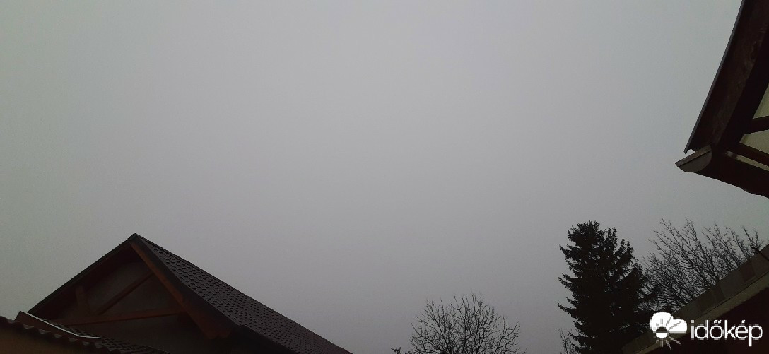 Szár