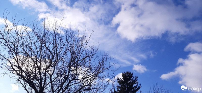 Szár