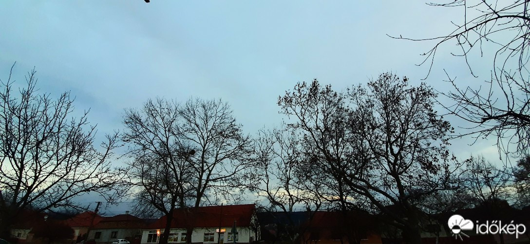 Szár