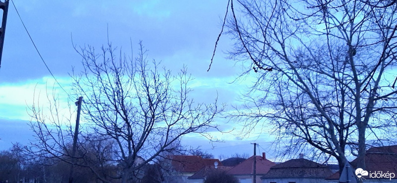 Szár