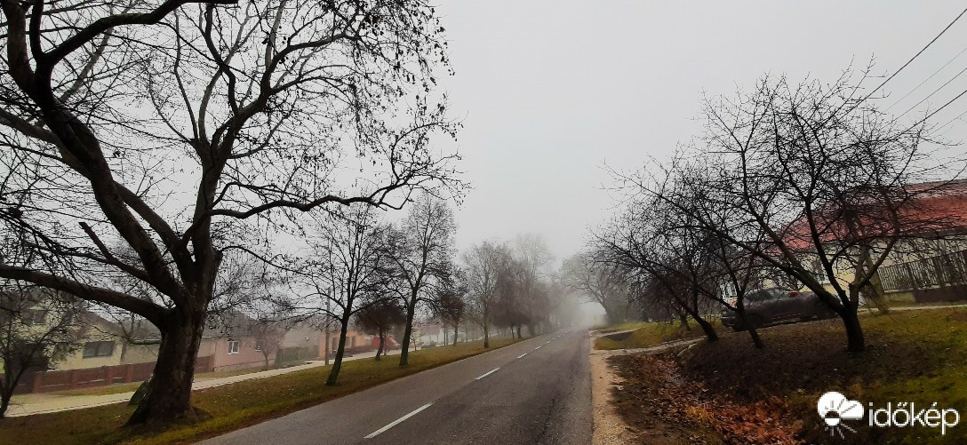 Szár