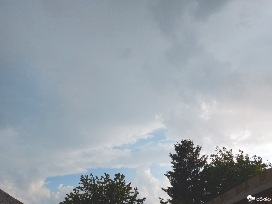 Szár
