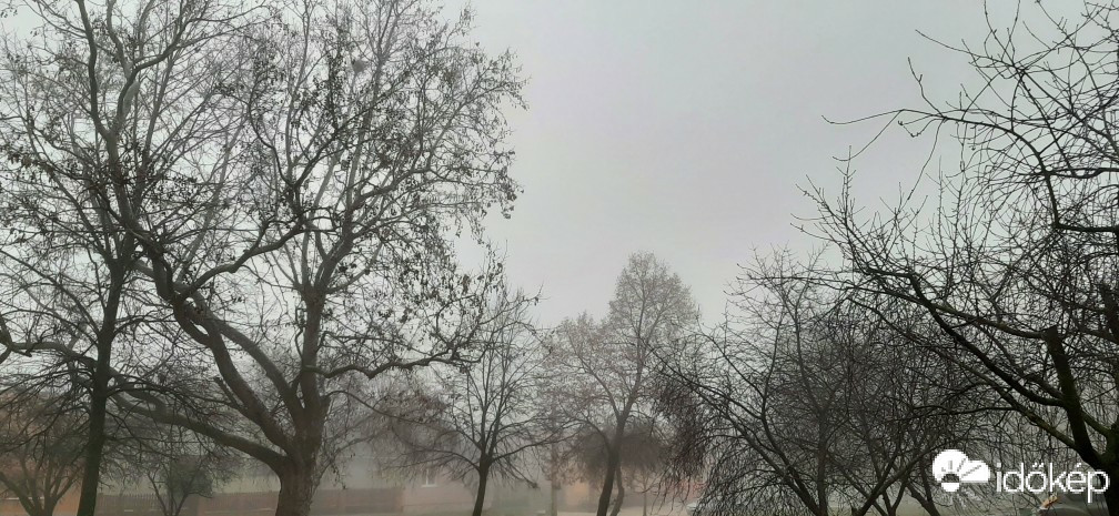 Szár