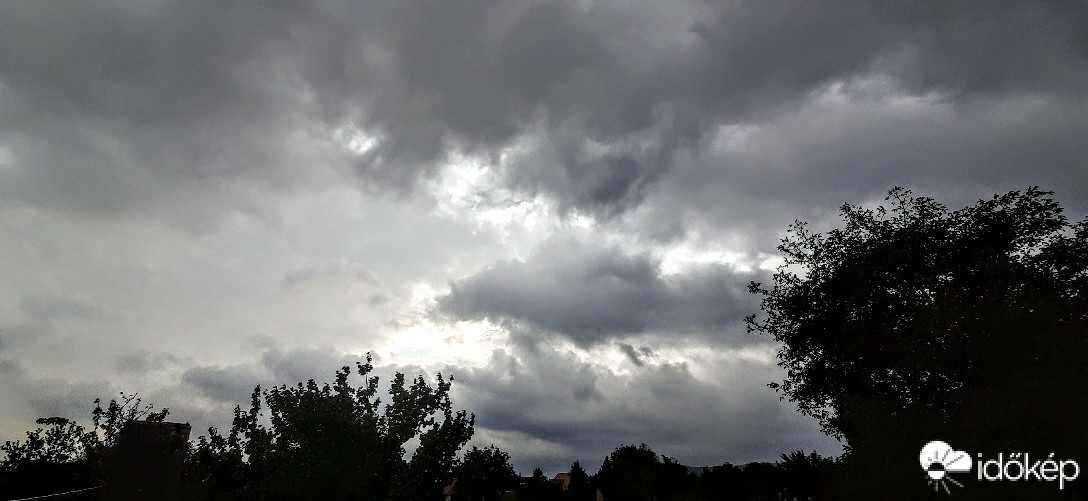 Szár