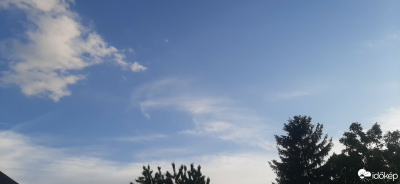Szár